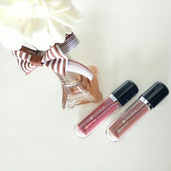 Chambor Extreme Wear Transferproof Liquid Lipstick Review and Swatches