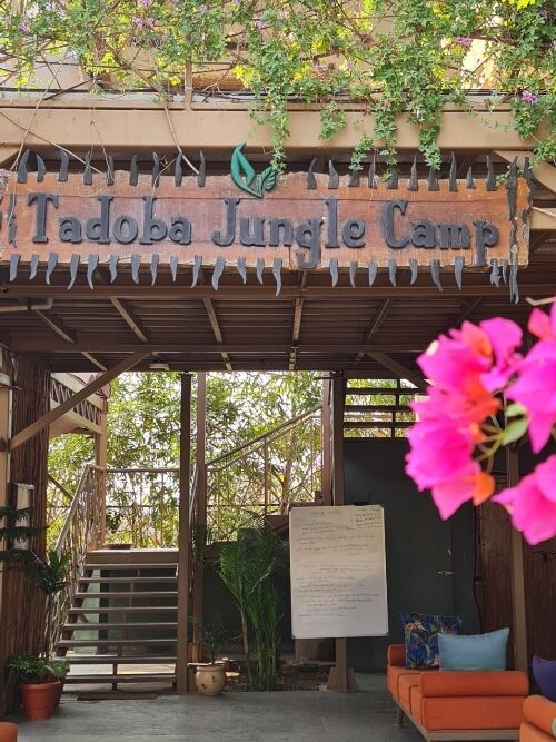 Tadoba Jungle Camp review