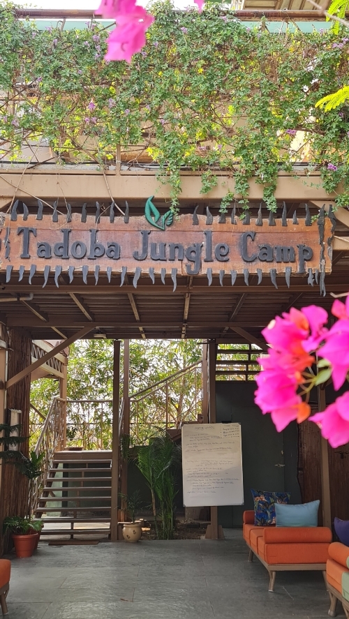 Tadoba Jungle Camp review